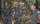 Formation Garde Particulier